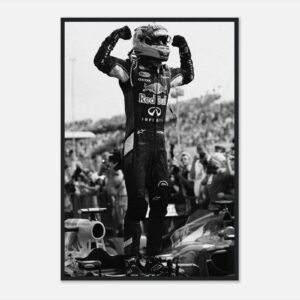 Daniel Ricciardo Formula 1 motivational poster wall art
