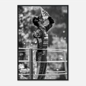 Daniel Ricciardo Formula 1 poster in vibrant colors